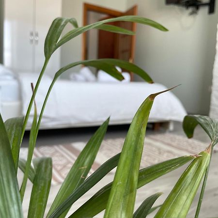 Agroni Rooms Tirana Extérieur photo